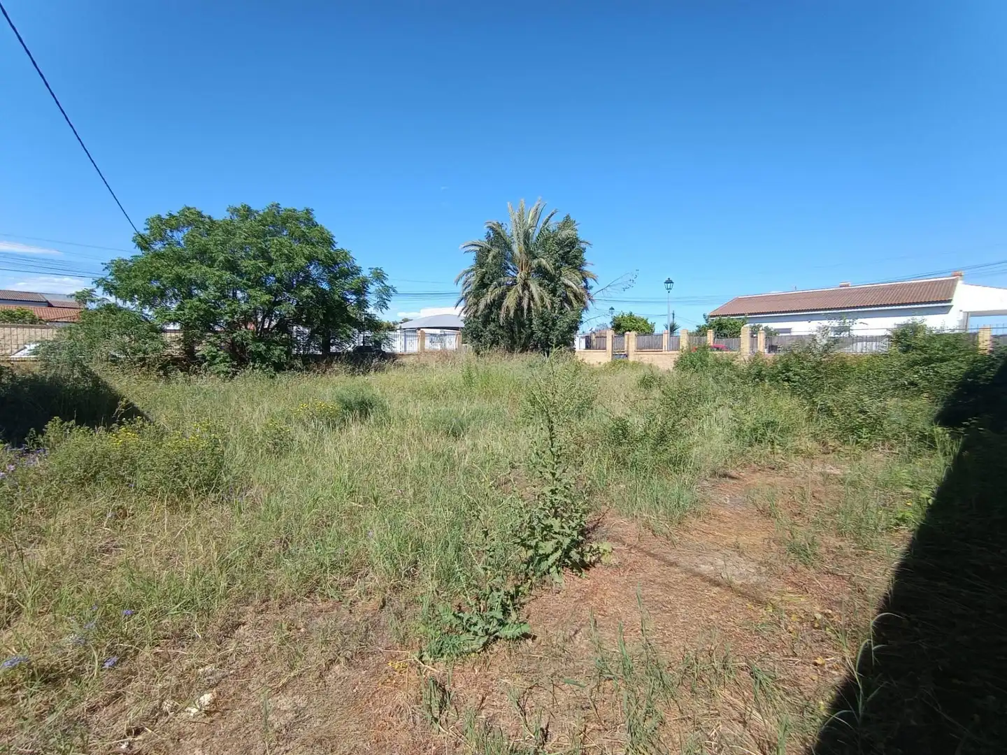 Terreni e lotti in vendita a Palomares del Río, imagen 4
