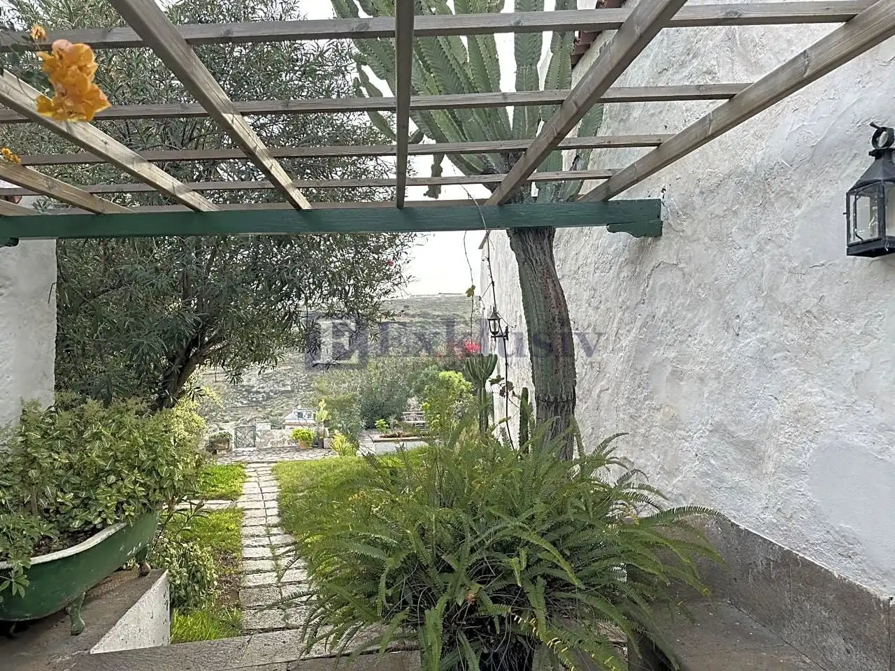 Jardín de Finca rústica en venta en Arico