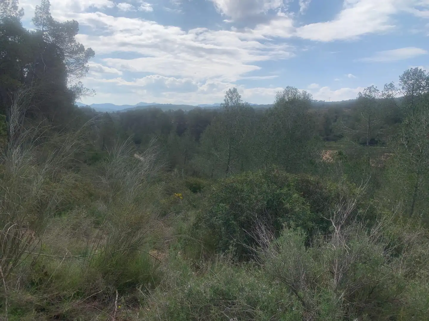 Terreno rustico in vendita a Garcia, imagen 4