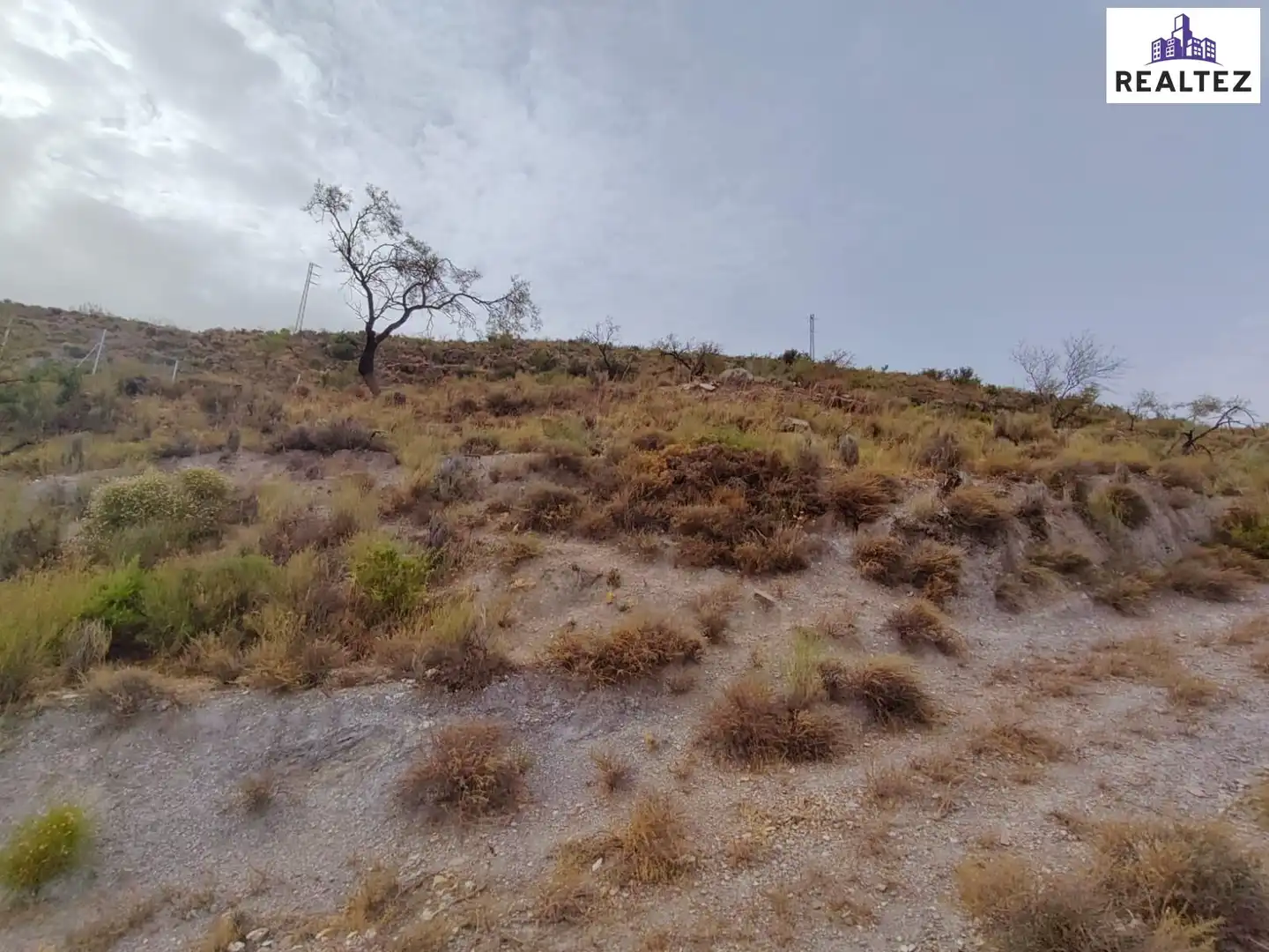 Terrain rustique à vendre à Alcolea, imagen 9