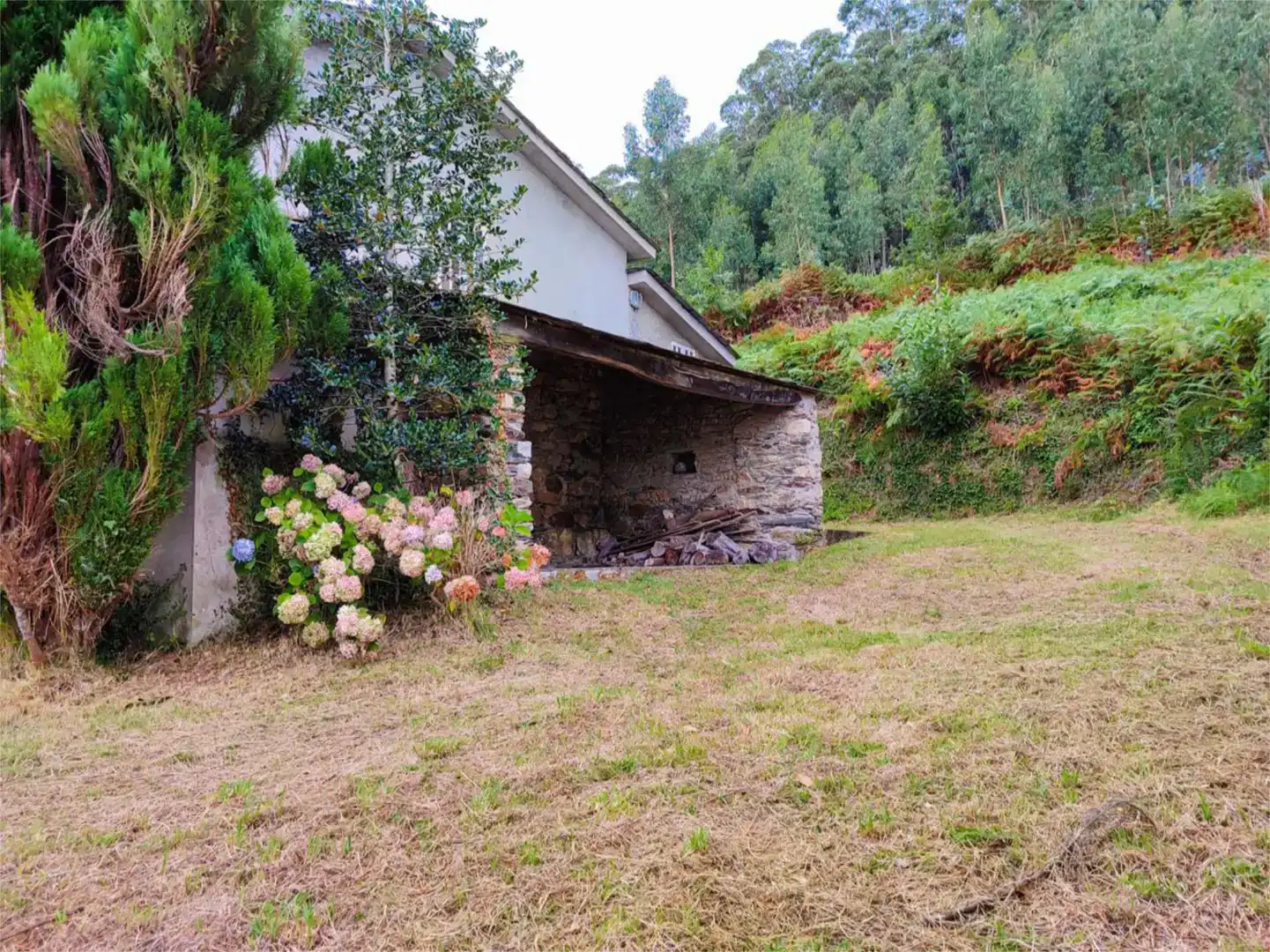 Jardí de Casa o xalet en venda en O Vicedo 