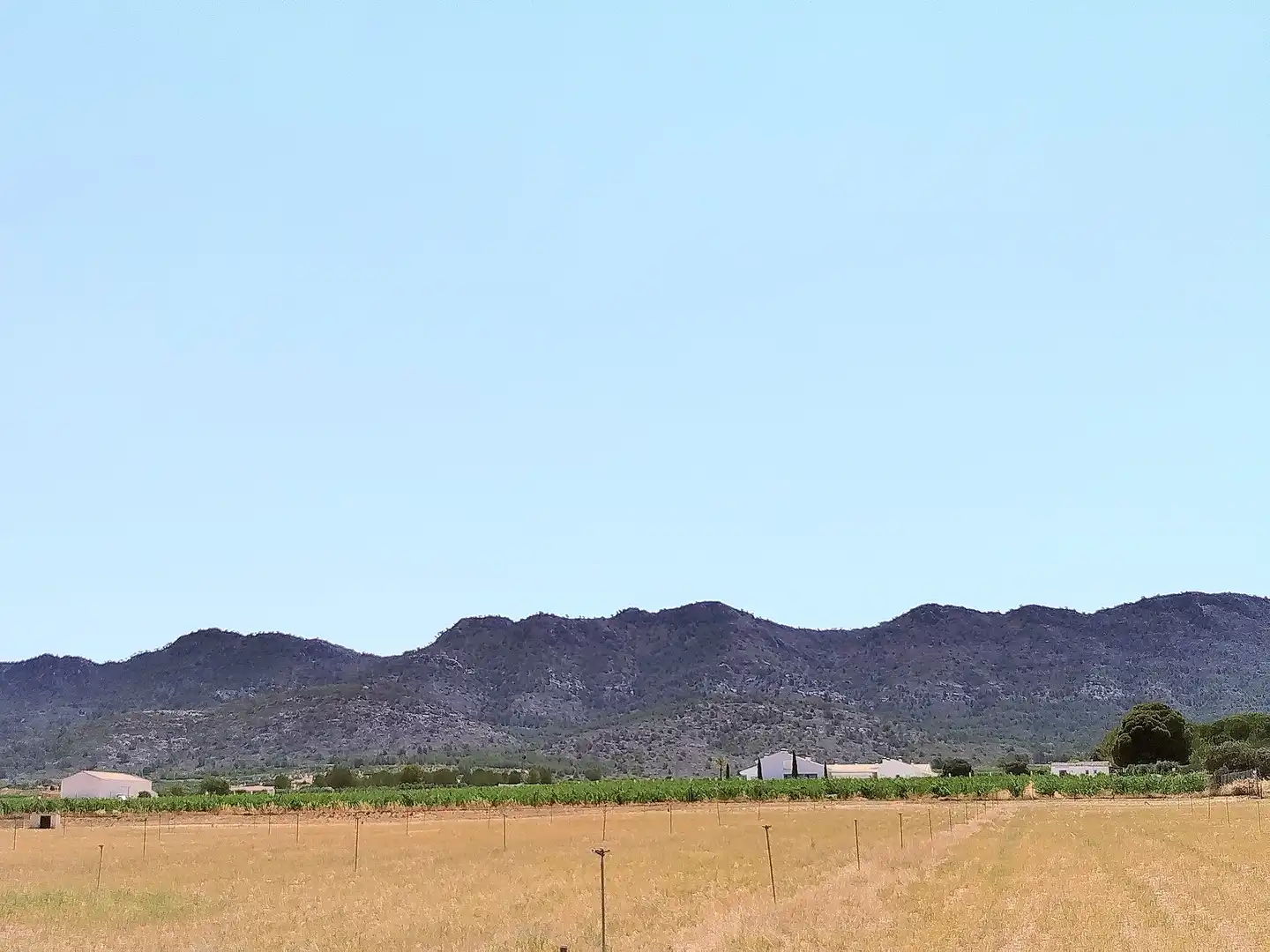 Finca rústica en venda en Yecla amb Aire condicionat i Terrassa