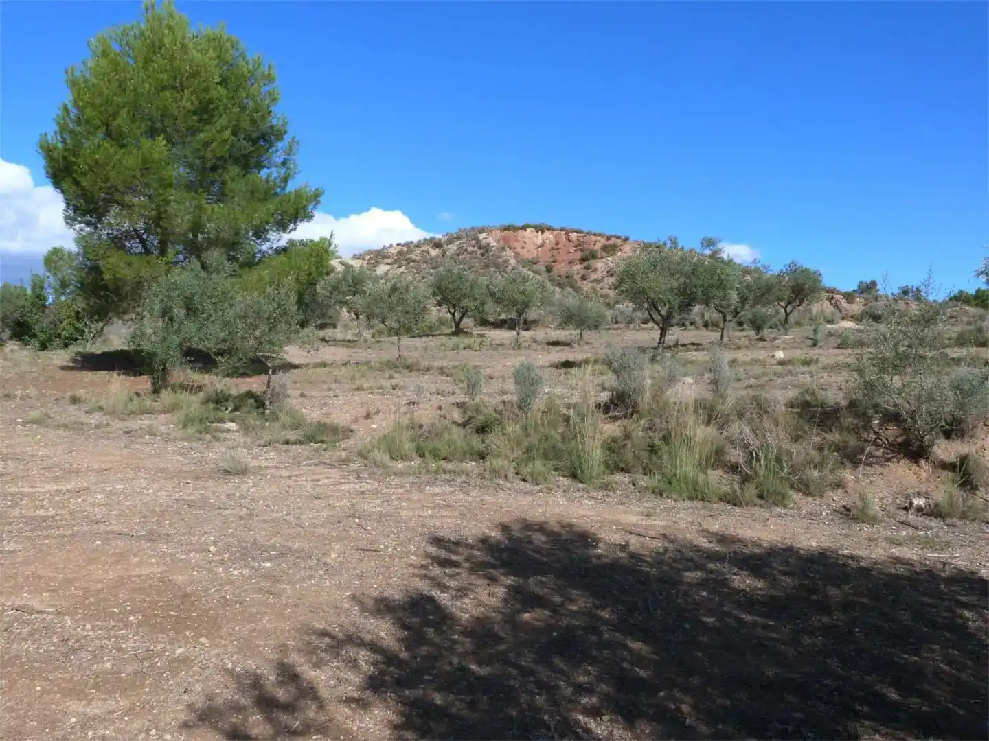 Terreno en venta en Alborache