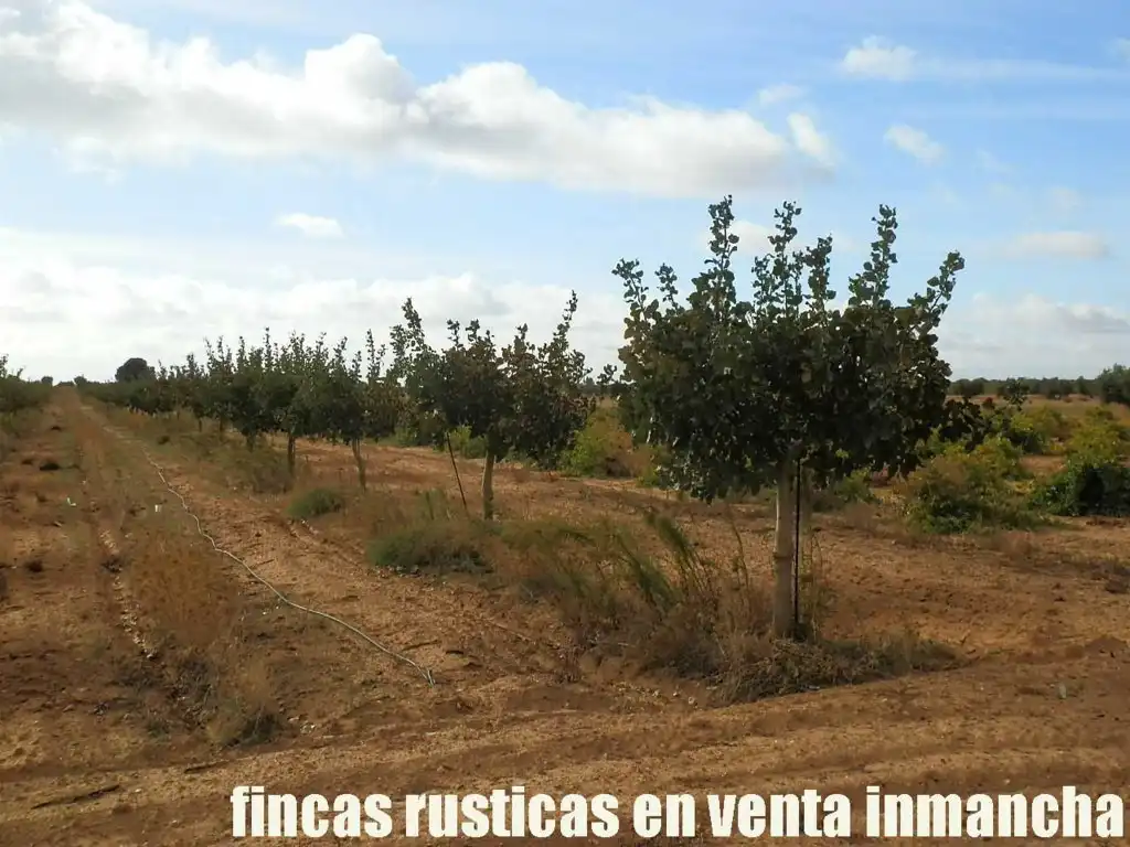 Terreni e lotti in vendita a Las Mesas, imagen 17