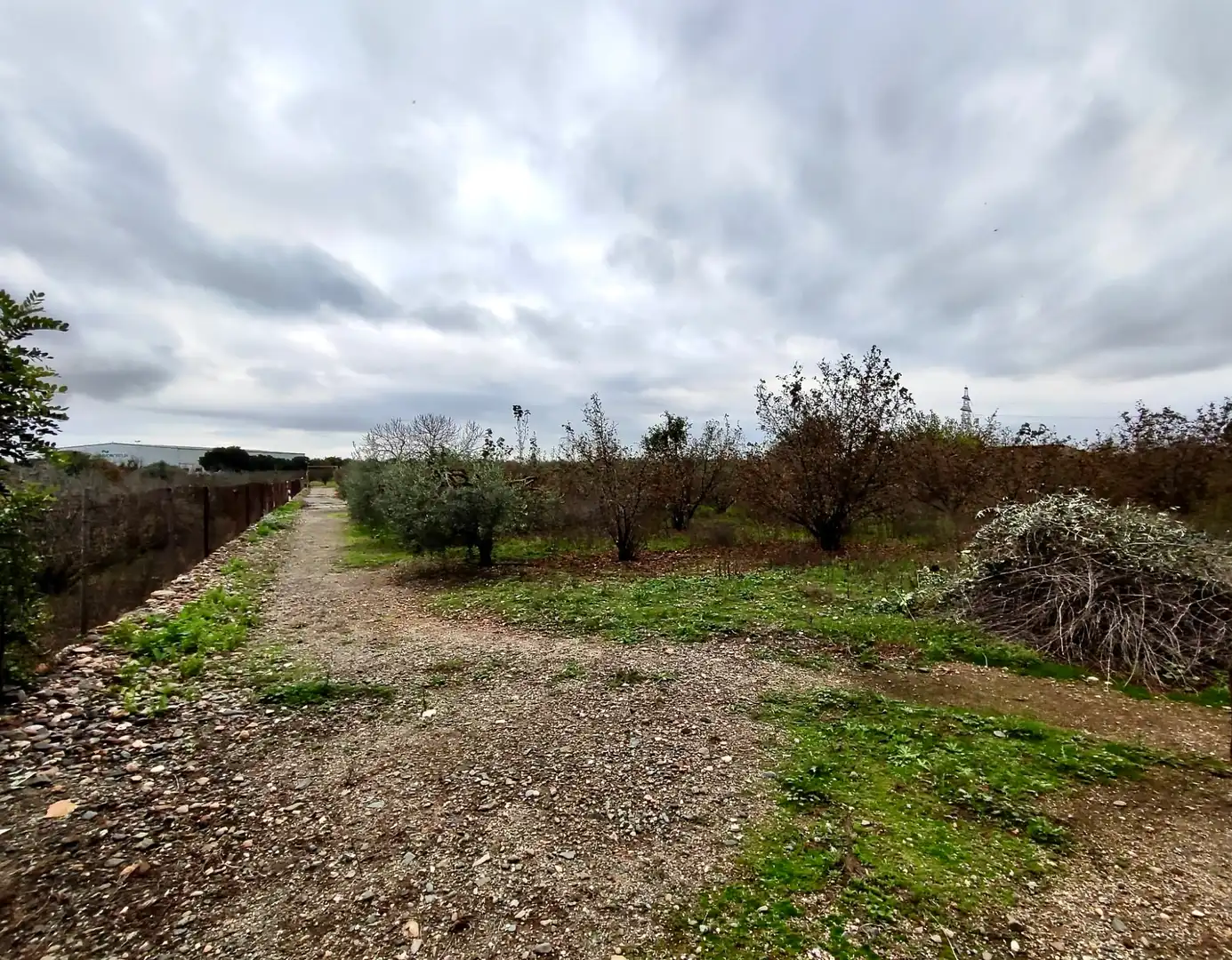 Land for sale in Vilallonga del Camp