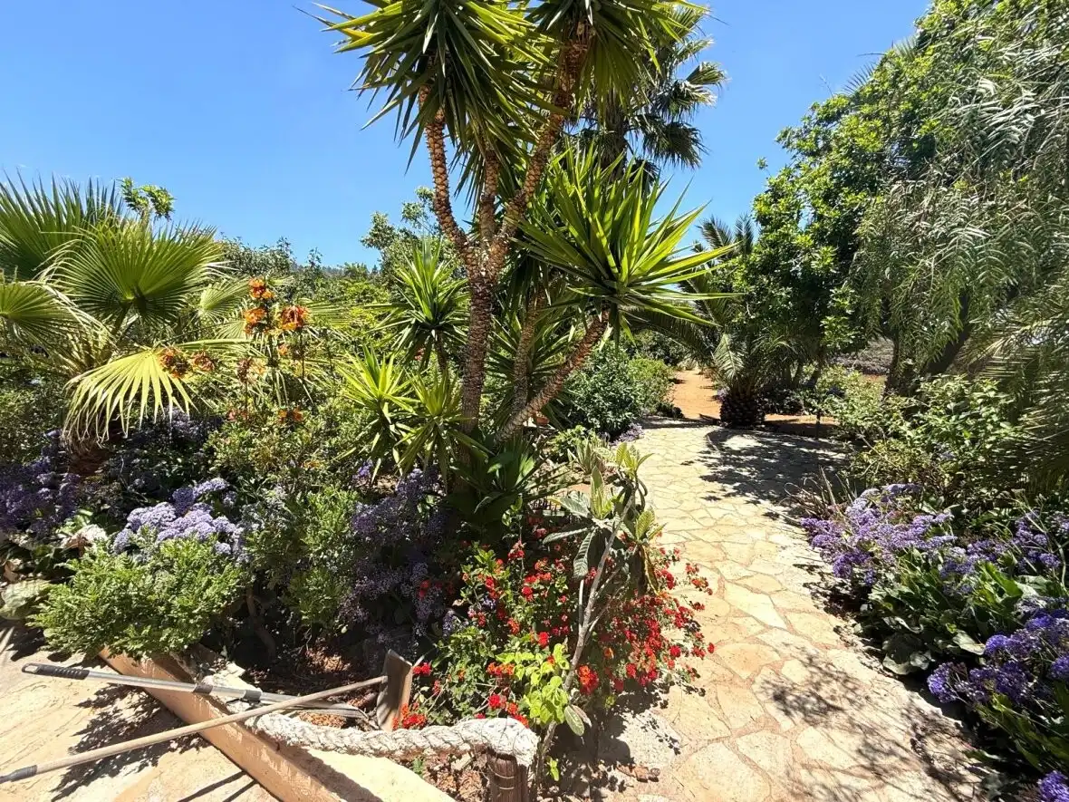 Jardín de Finca rústica en venta en Guía de Isora con Terraza