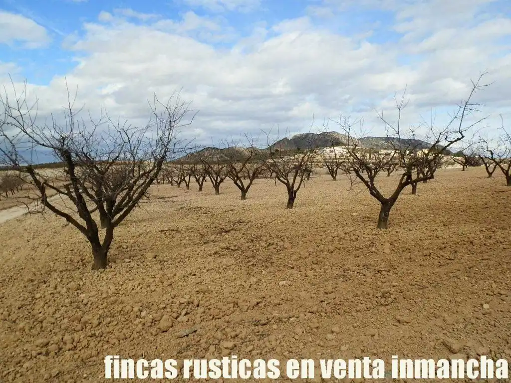 Rustikales Grundstück zum Verkauf in Cieza, imagen 20