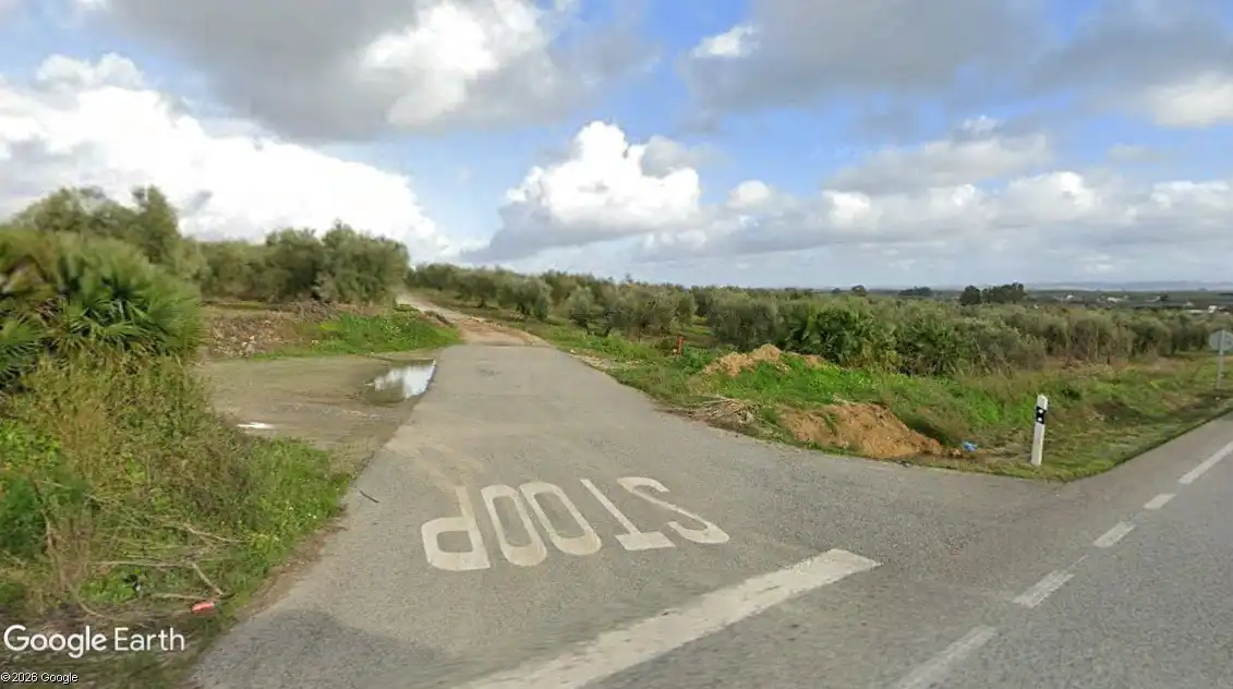 Rural land for sale in Arahal, imagen 3