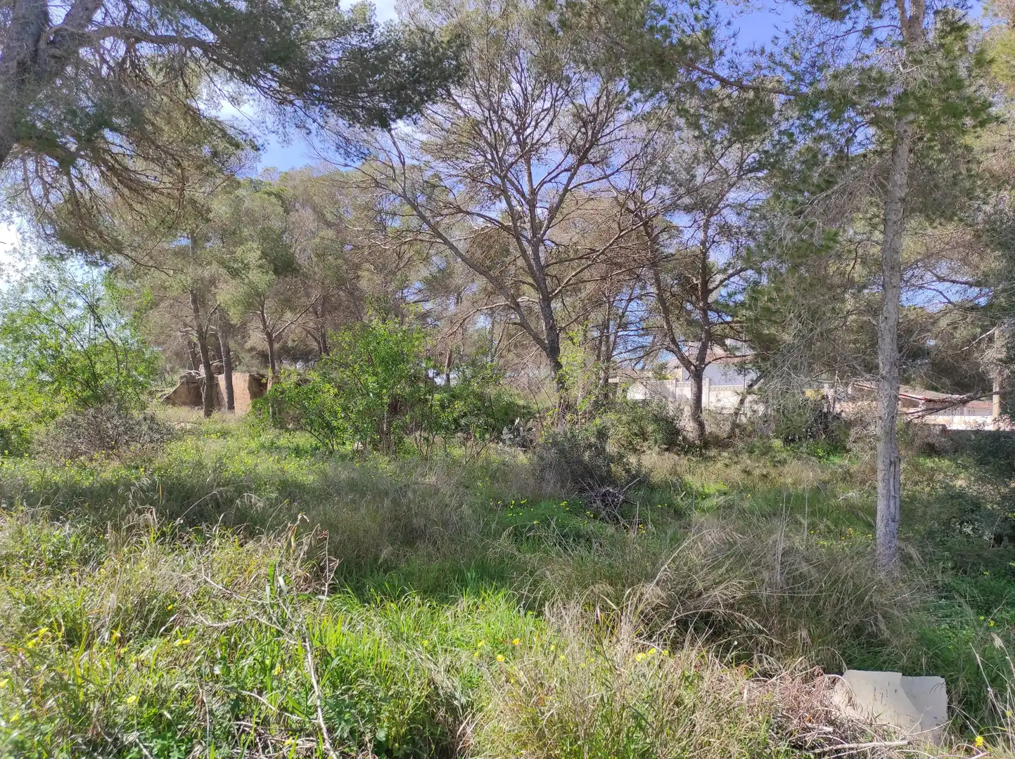 Residential for sale in  Palma de Mallorca