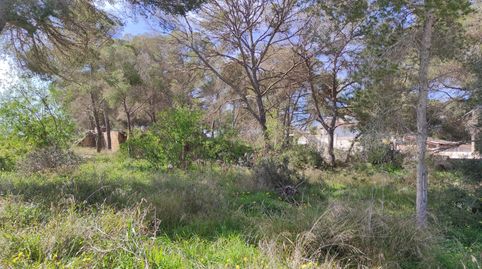 Foto 4 de Residencial en venda a N/a, -1, S'Arenal, Palma de Mallorca