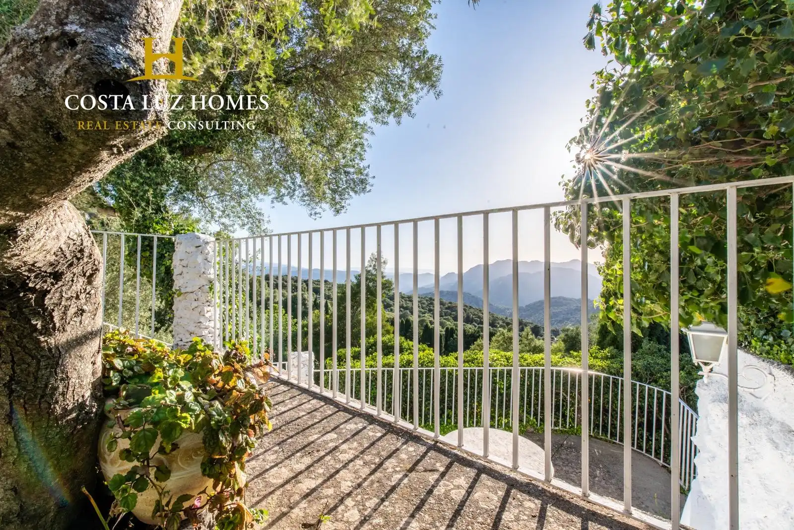House with pool for sale in Benaocaz, imagen 22