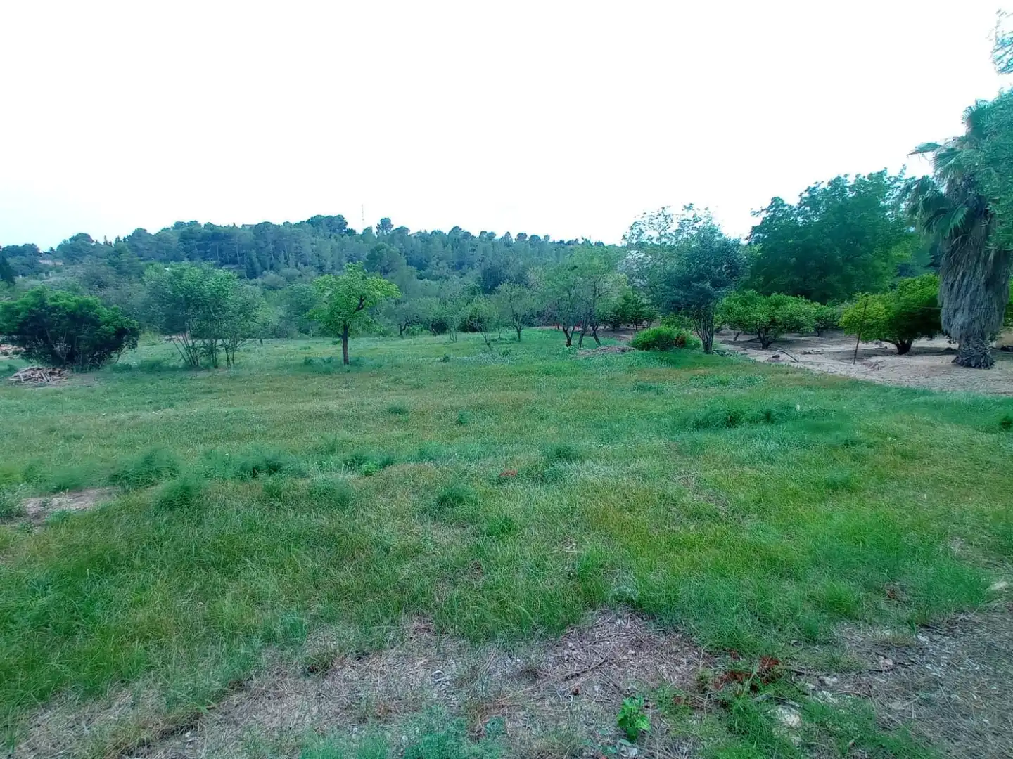 Houses for sale in Tortosa