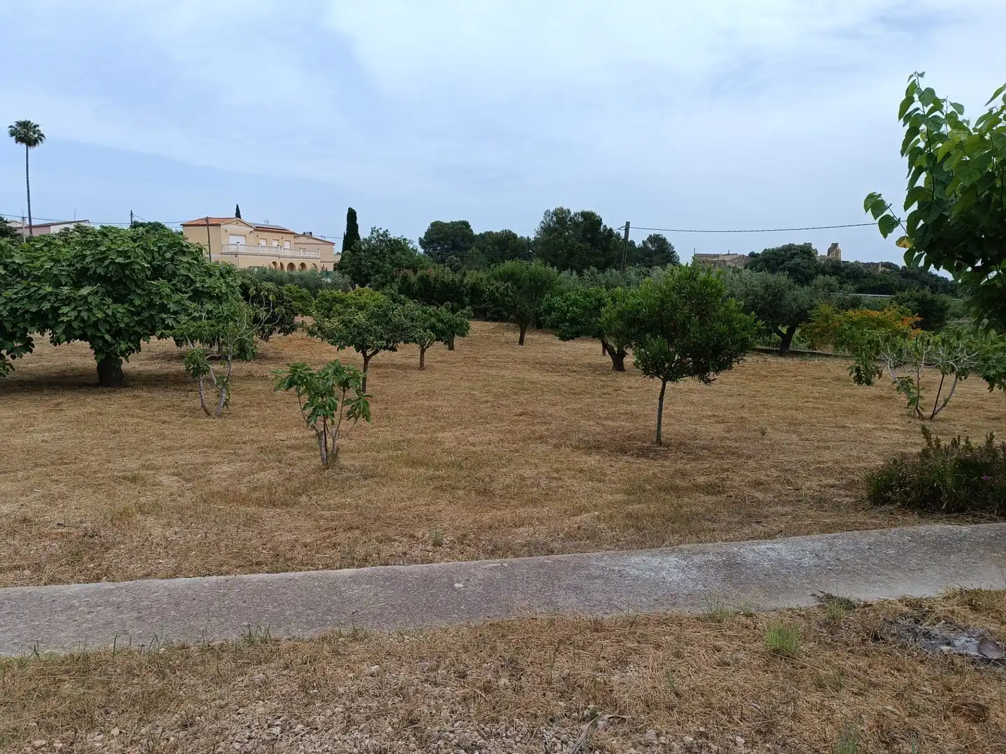 Terreno residencial en venta en Carrer Reus, imagen 10