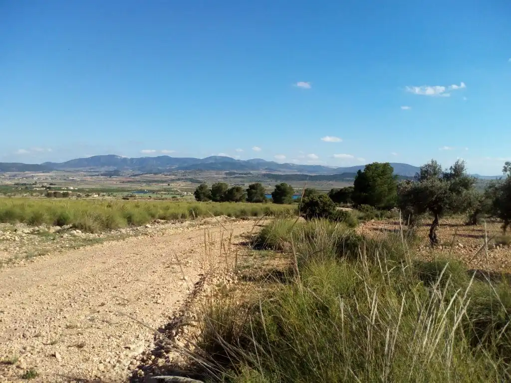 Terreno residencial en venta en El Pinós / Pinoso, imagen 3
