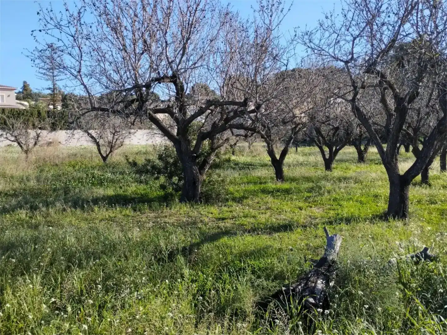 Land for sale in Gata de Gorgos, Alicante