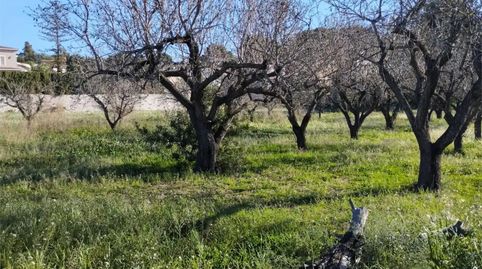 Foto 4 de Terreno en venta en De Gaia, 3, Gata de Gorgos, Alicante