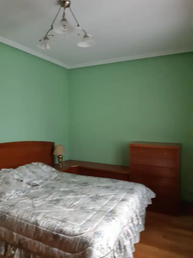 Mixto residencial en venta en Vegadeo, imagen 6