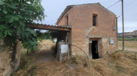terreno asco