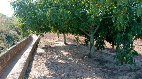 Foto 2 de Finca rústica en venta en N/a, Entrena, La Rioja