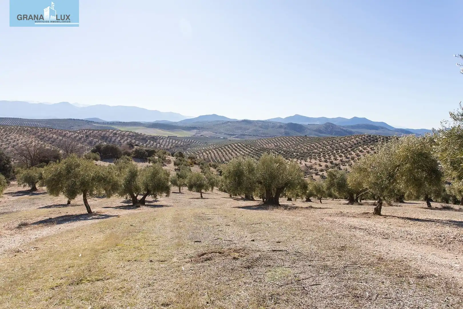 Land for sale in Campotéjar