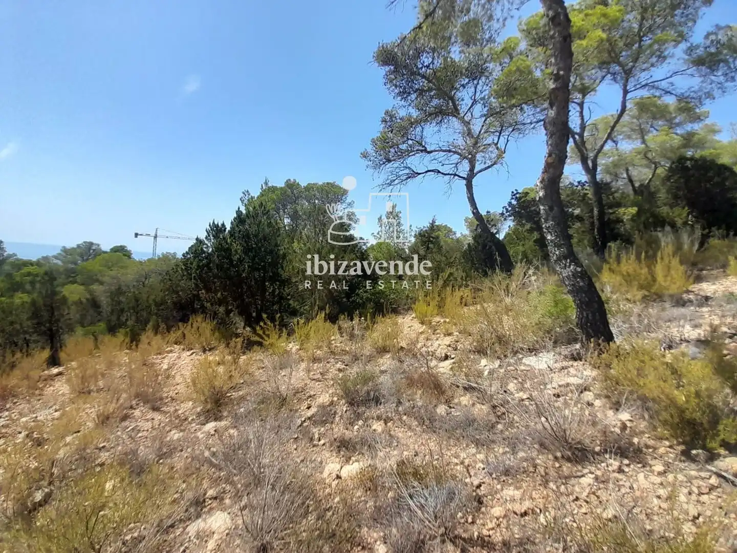 Grundstücke zum Verkauf in Sant Josep de sa Talaia