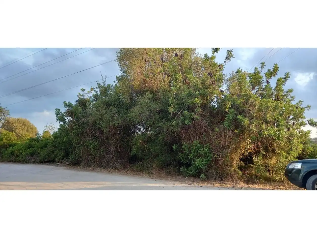Rural land for sale in Poligono 41, imagen 5