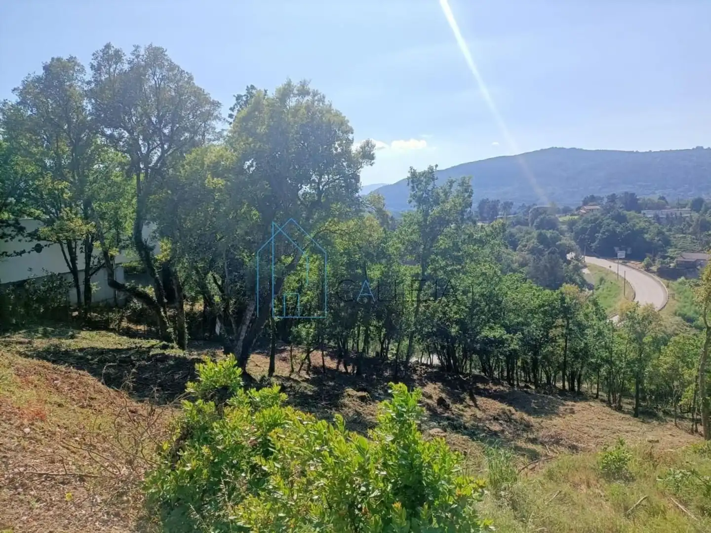 Terreni e lotti in vendita a San Rosendo