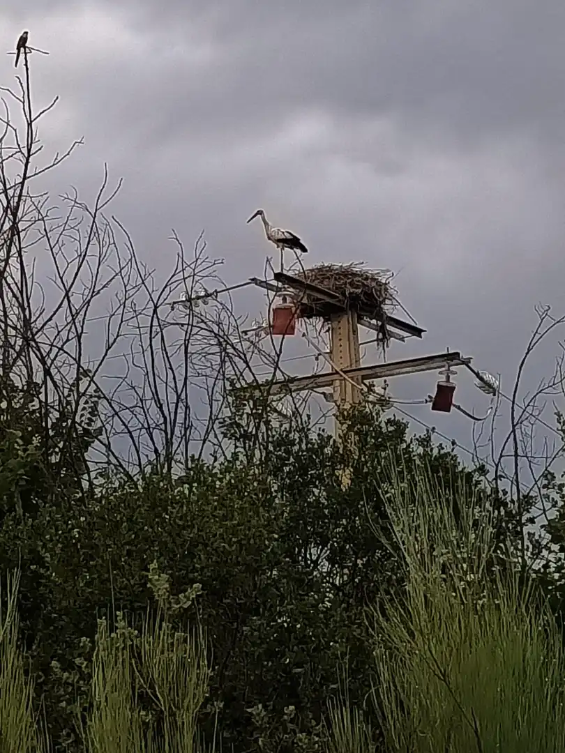 Vista exterior de Casa o xalet en venda en Piedrabuena amb Aire condicionat, Calefacció i Jardí privat