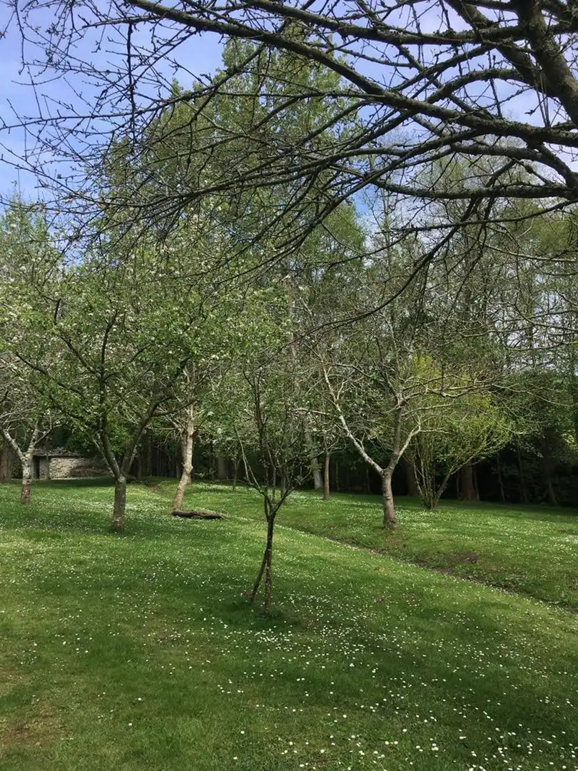 Garden of Houses for sale in Navia  with Private garden and Storage room