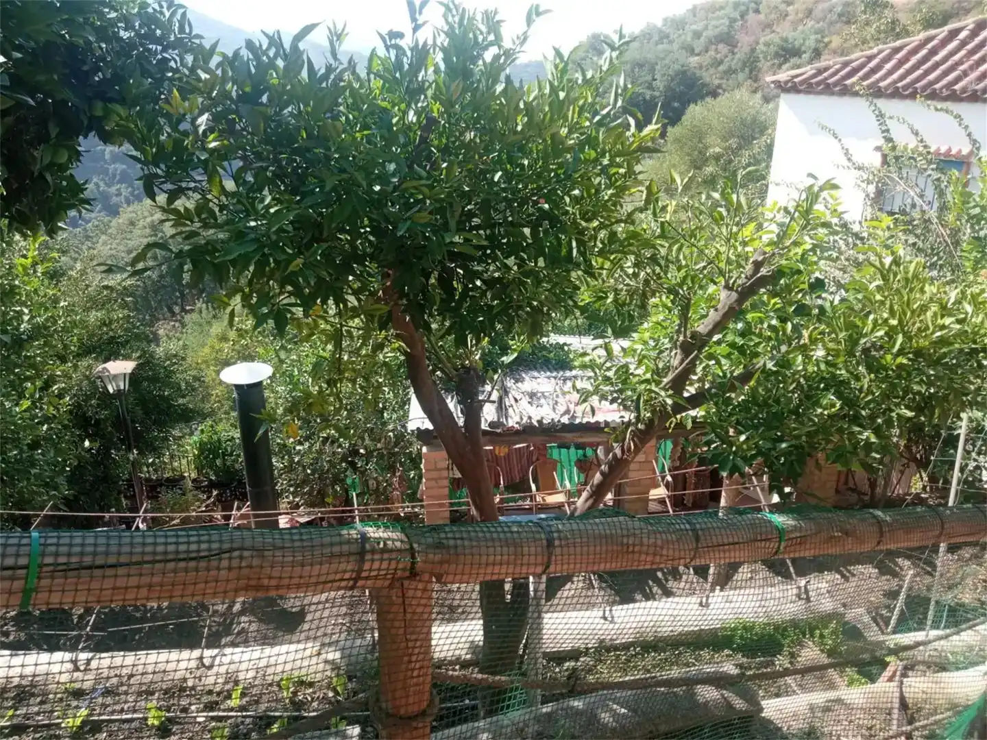 Jardí de Finca rústica en venda en Genalguacil, Málaga