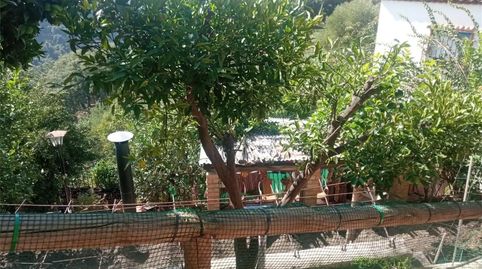 Foto 2 de Finca rústica en venda a El Lavadero, Genalguacil, Málaga
