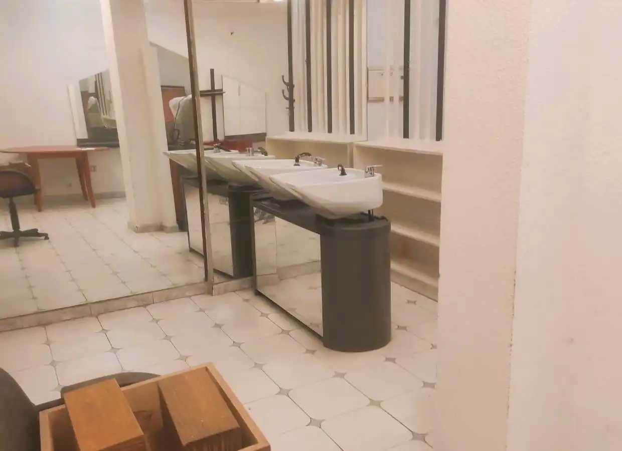 Bathroom of Commercial properties for sale in Zalla 