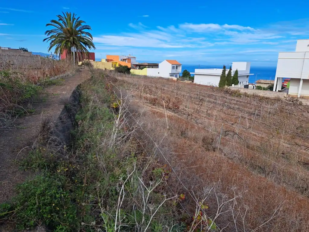 Rural land for sale in El Sauzal, imagen 14