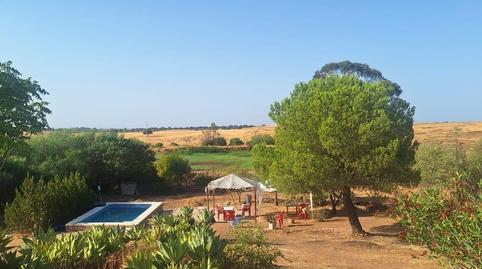Photo 5 of Country house for sale in Trigueros, Huelva