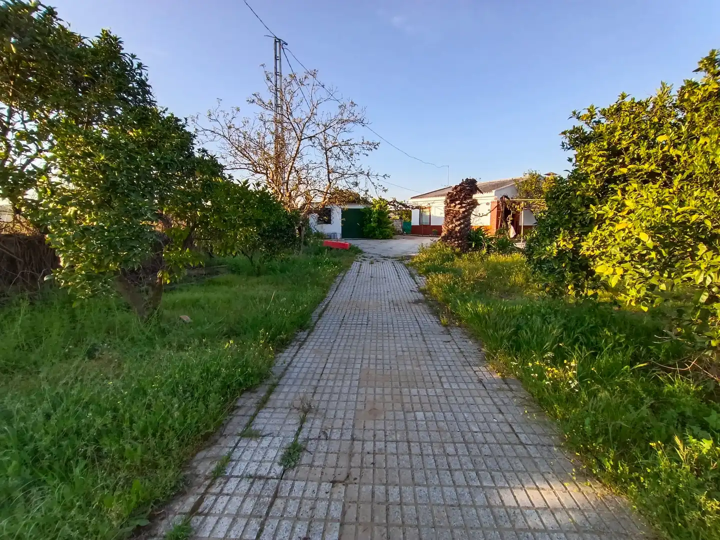 Land for sale in Valverde de Mérida