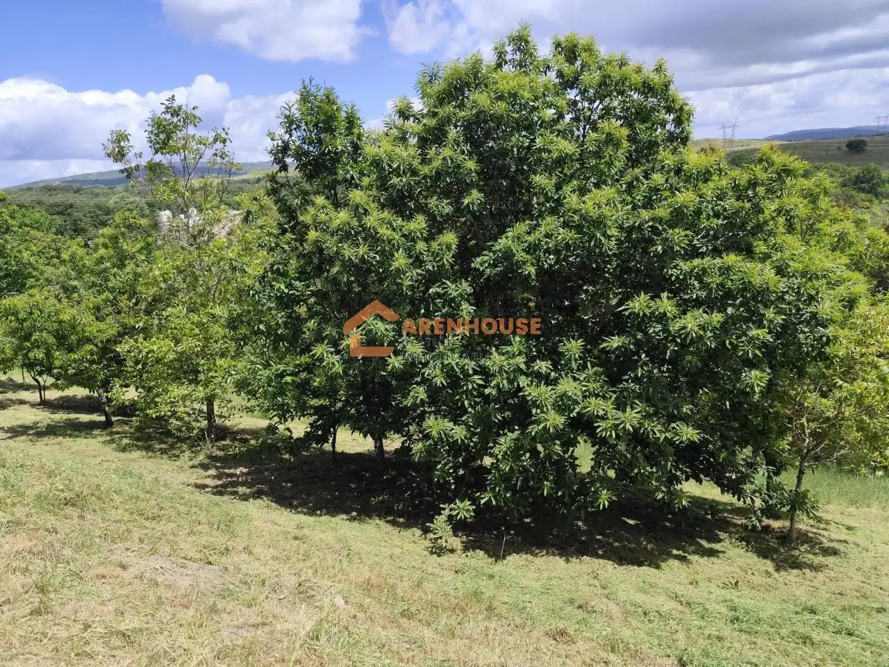 Casa o xalet en venda en Bande amb Calefacció, Jardí privat i Traster