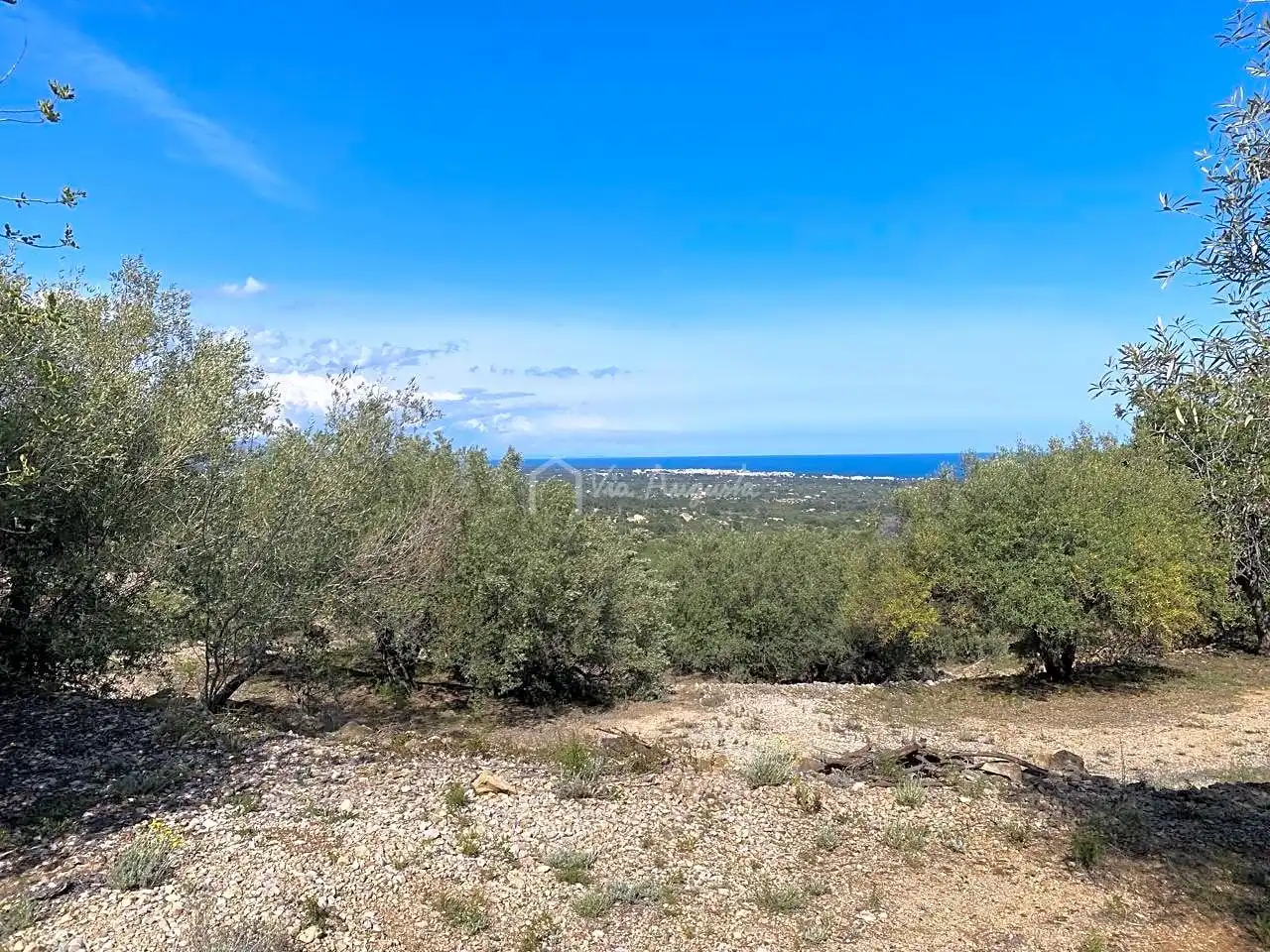 Terreno rustico in vendita a Puig Moltó, imagen 6