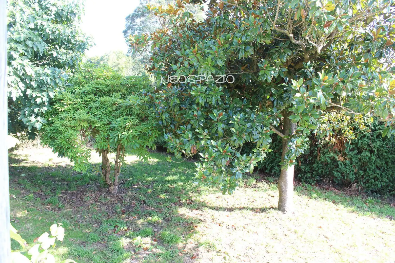 Casa in vendita a Aldea - San Pedro - Begonte, imagen 11