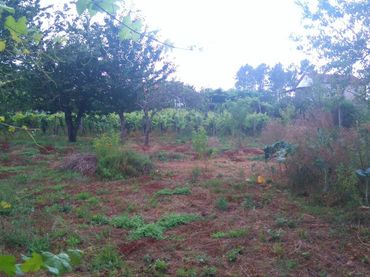 Terreny residencial en venda a O Carballiño