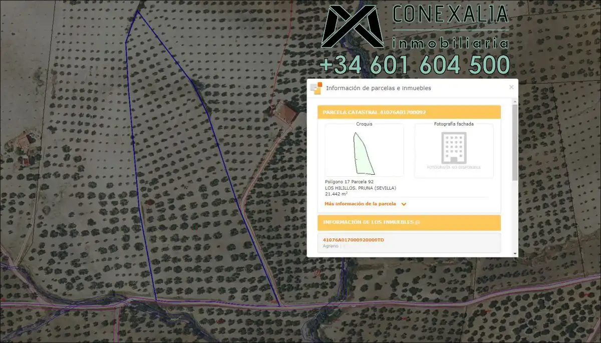 Finca rústica en venta en Pruna
