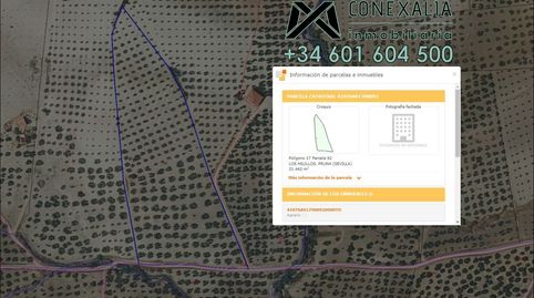 Finca en venta en Pruna., imatge 3