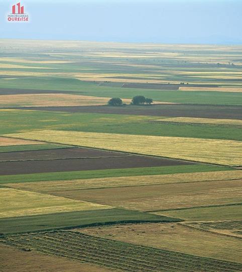 Foto 2 de Finca rústica en venda a As Lagoas, Ourense