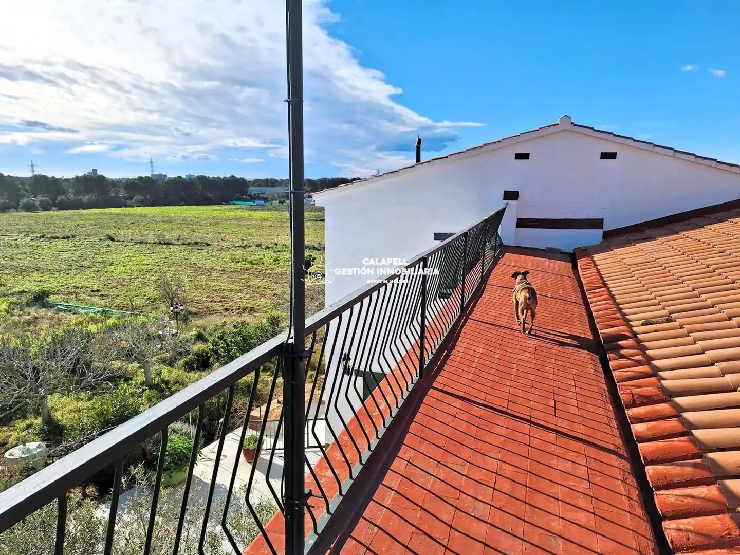 Villa à vendre à Polígono 5 96, imagen 37