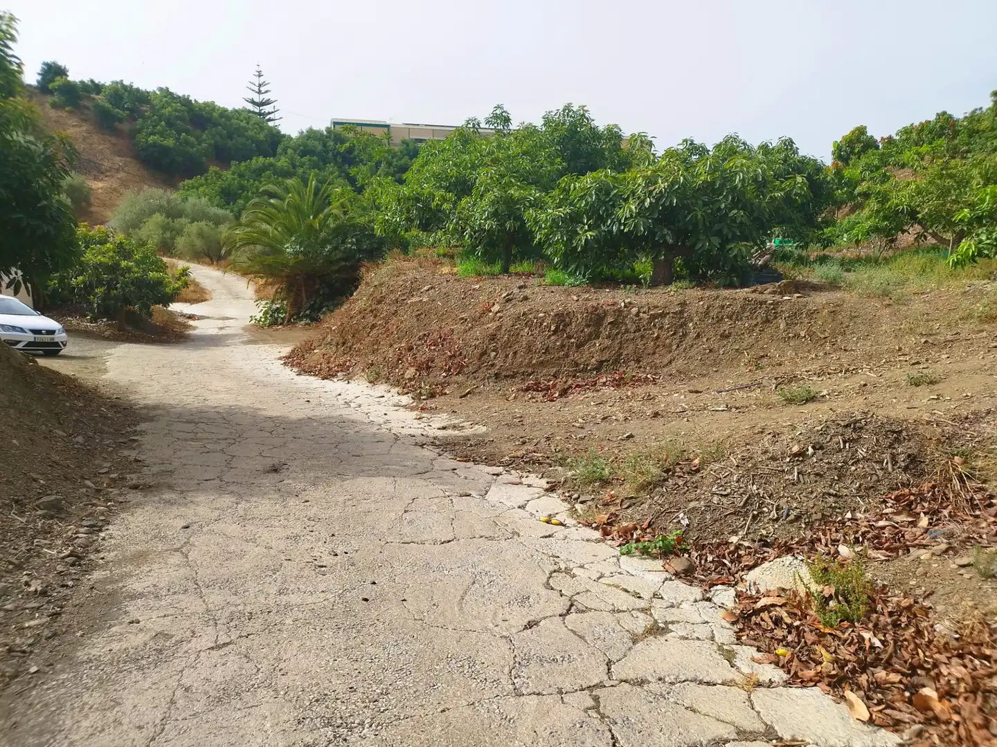 Terreno rustico in vendita a Diseminado Real Alto, imagen 6