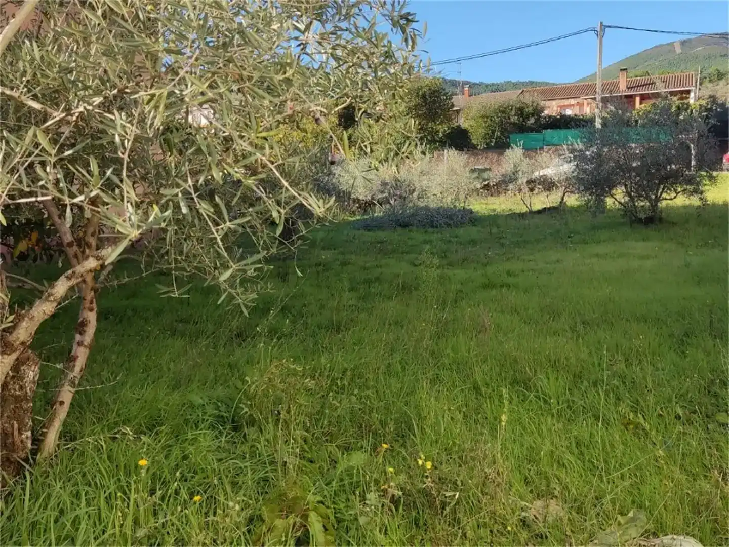 Residential for sale in Caminomorisco