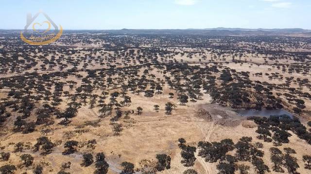 Terreno en Venta en N/A, -1 en Puebla de Guzmán