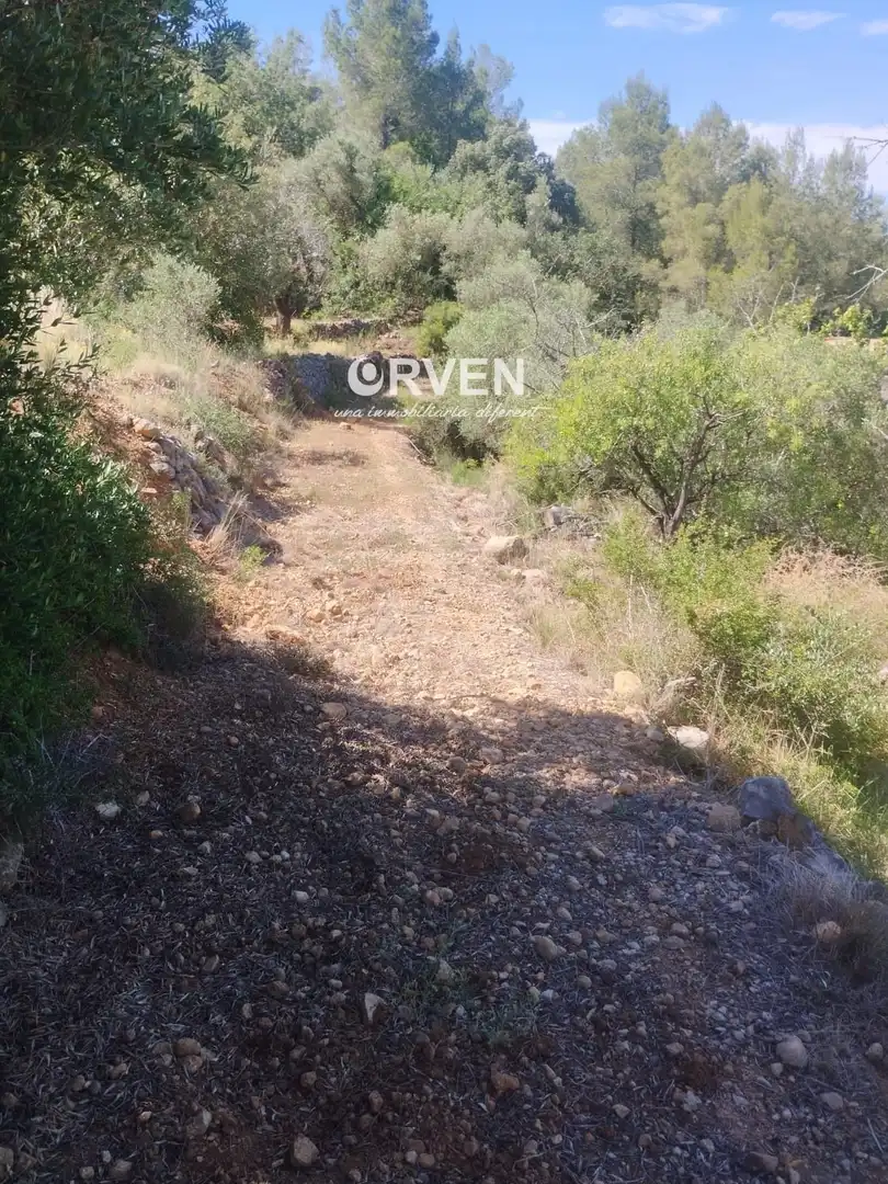 Rural land for sale in Carretera T-240 s/n, imagen 10