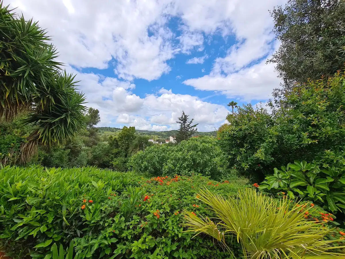 Casa o xalet en venda a San Martín del Tesorillo