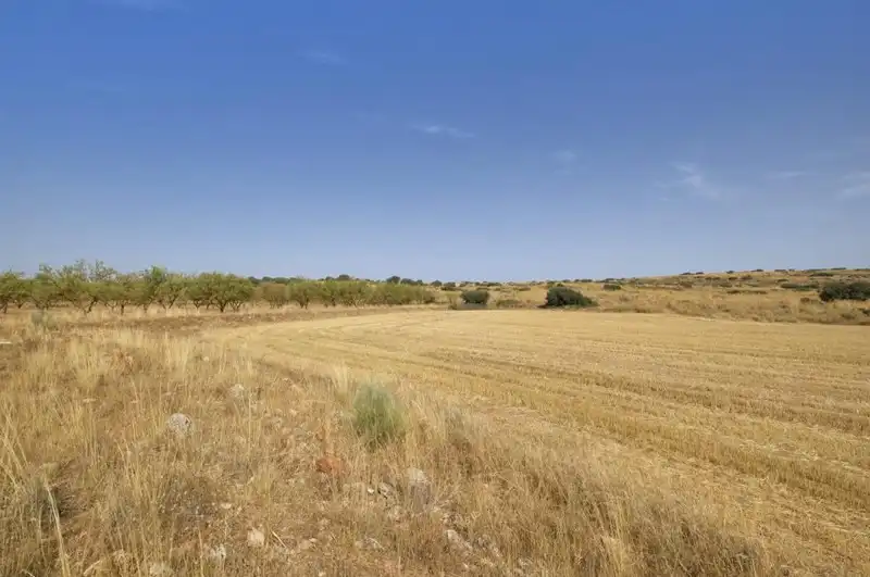 Terreni e lotti in vendita a Padul, imagen 12