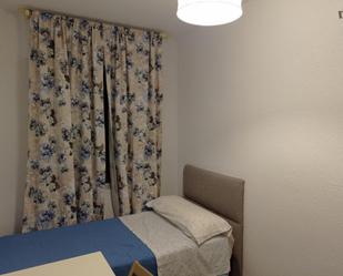 Apartment to share in Centro